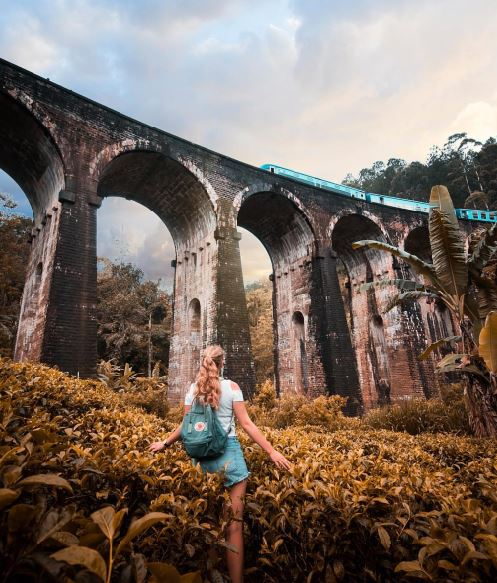 Under the Bridge Viewpoint