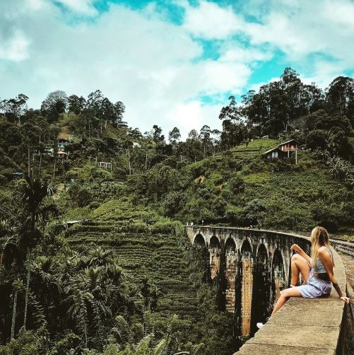 Tea Plantation Side Viewpoint